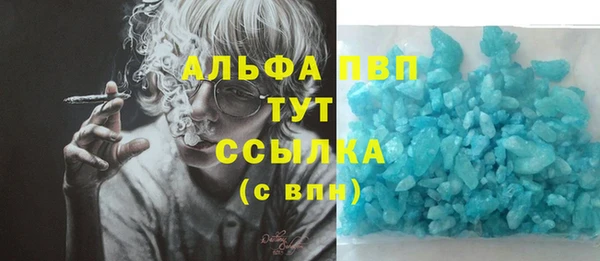 трава Кодинск