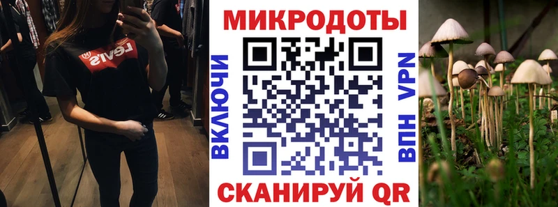 Купить  Северобайкальск  Галлюциногенные грибы прущие грибы 